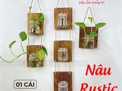 Tấm gỗ lọ thủy tinh treo tường thủy canh nhiều tầng [2 màu - 3 Size] BINHLOHOA-06